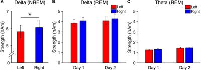 Surveillance During REM Sleep for the First-Night Effect